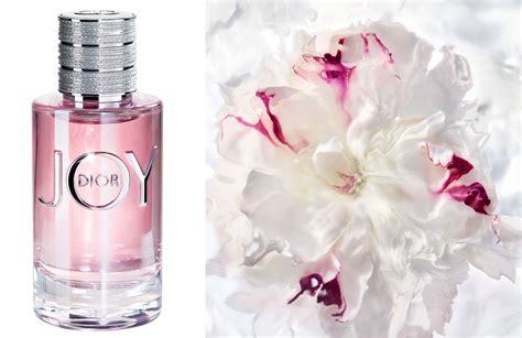 joy dior notes|dior joy fragrantica.